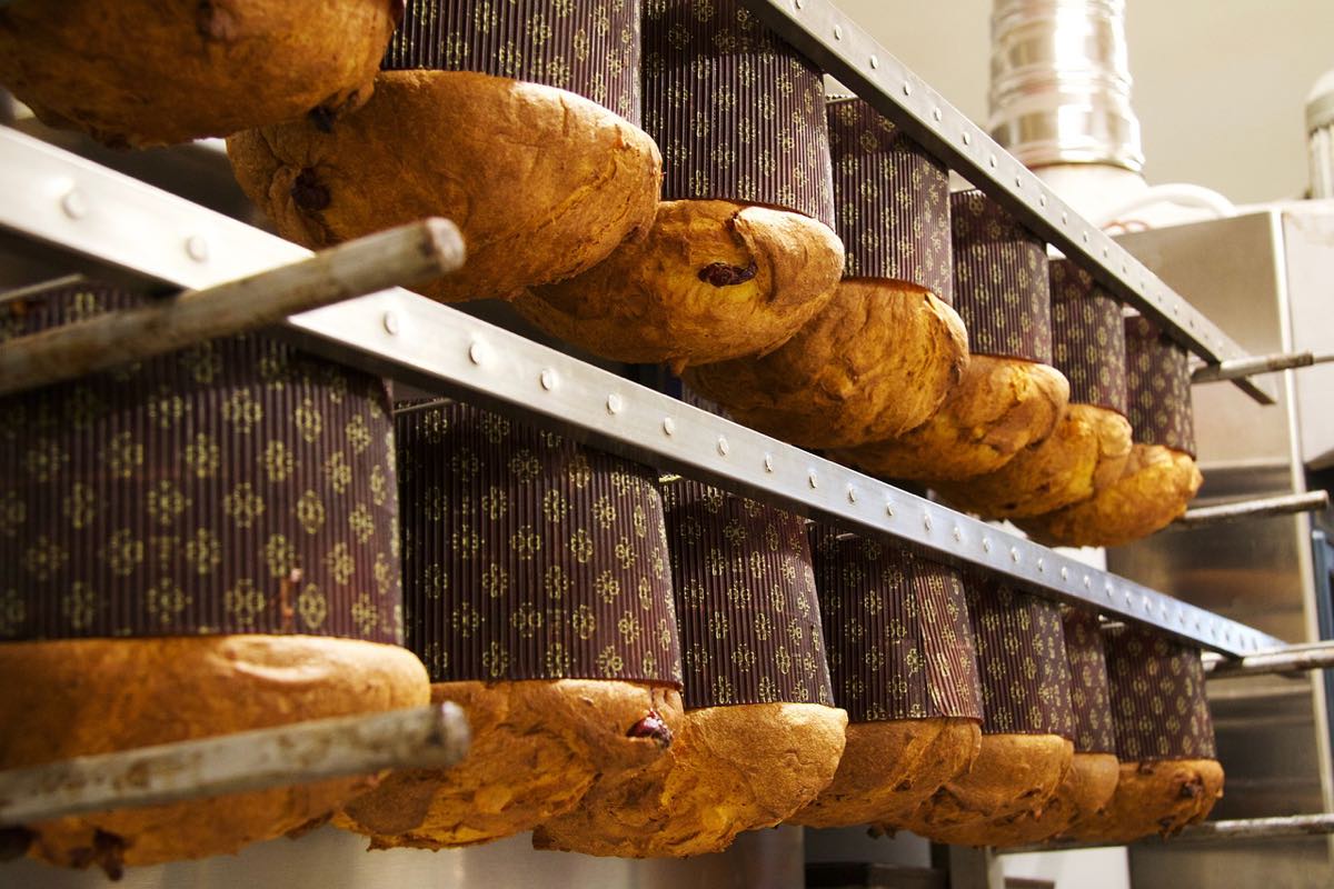 Farcire il pandoro: 10 creme golose per rendere il tuo dolce unico